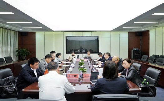 臺(tái)州市副市長(zhǎng)苗文斌調(diào)研中非經(jīng)貿(mào)港