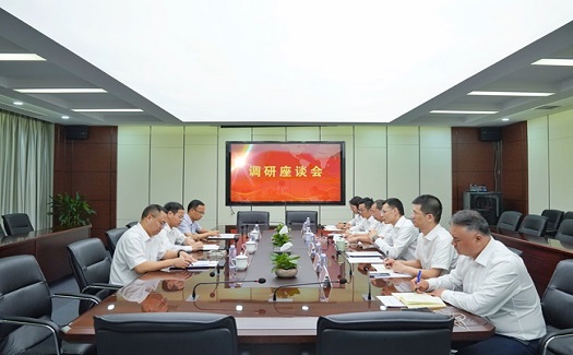 省國貿(mào)集團黨委副書記、董事鄭偉一行調(diào)研中非經(jīng)貿(mào)港