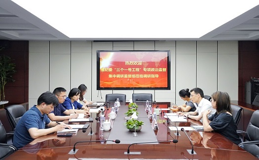 省紀(jì)委“三個(gè)一號(hào)工程”專項(xiàng)政治監(jiān)督集中調(diào)研監(jiān)督組來(lái)我司調(diào)研