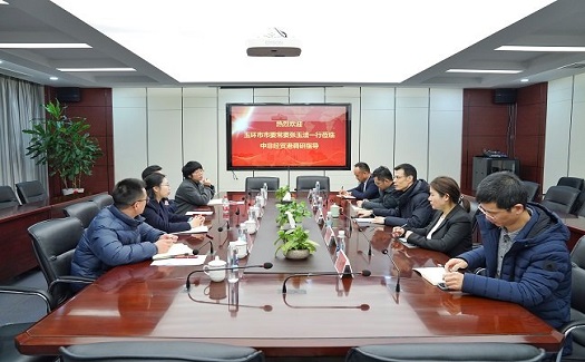 玉環(huán)市委常委、楚門鎮(zhèn)黨委書記張玉潔一行調(diào)研中非經(jīng)貿(mào)港